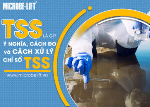 TSS là gì? Ý nghĩ, cách đo và cách xử lý chỉ số TSS