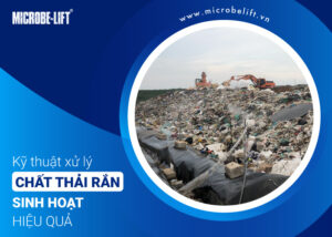 xử lý chất thải rắn sinh hoạt