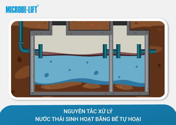 xử lý nước thải sinh hoạt bằng bể tự hoại
