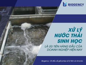 Xử lý nước thải sinh học
